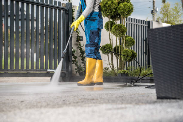 Best Pressure Washing Services Near Me  in Raymondville, TX