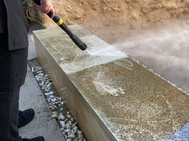 Best Pressure Washing Near Me  in Raymondville, TX