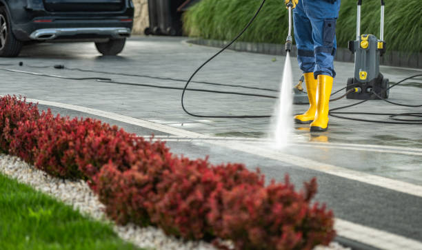 Best Exterior Home Cleaning  in Raymondville, TX