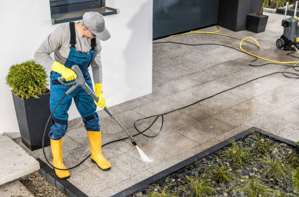 Best Local Pressure Washing Services  in Raymondville, TX