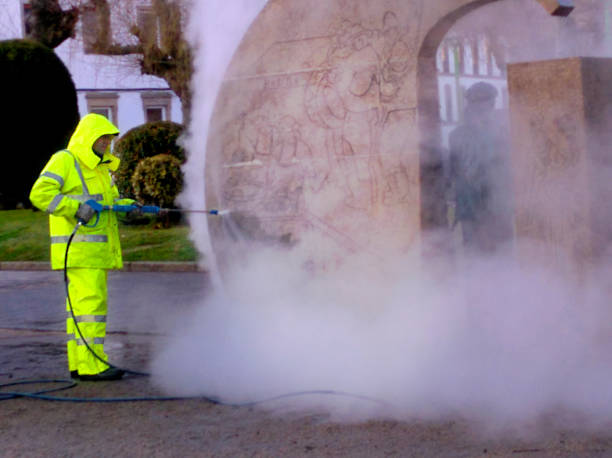Best Pressure Washing Near Me  in Raymondville, TX