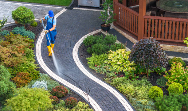 Best Pressure Washing Company Near Me  in Raymondville, TX