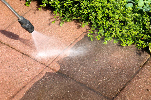 Best Power Washing Near Me  in Raymondville, TX